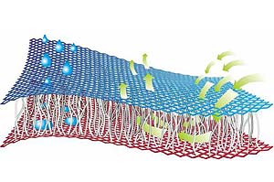 CoolMax Anti-Moisture 'Spacer' Layer