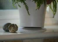 Under Pot Plant in Pearl White